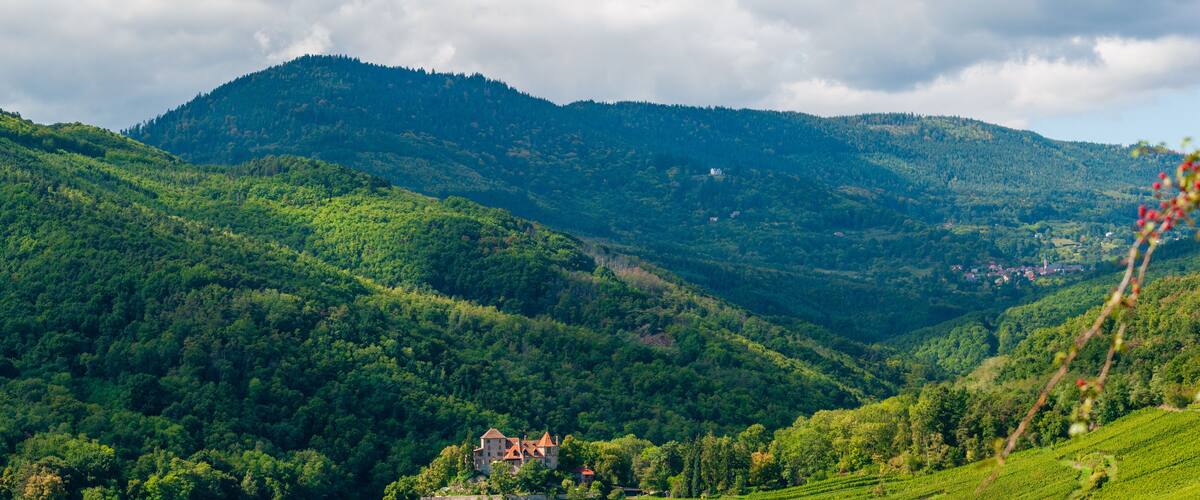 A lush valley with rolling hills, a small house, and a distant mountain range.