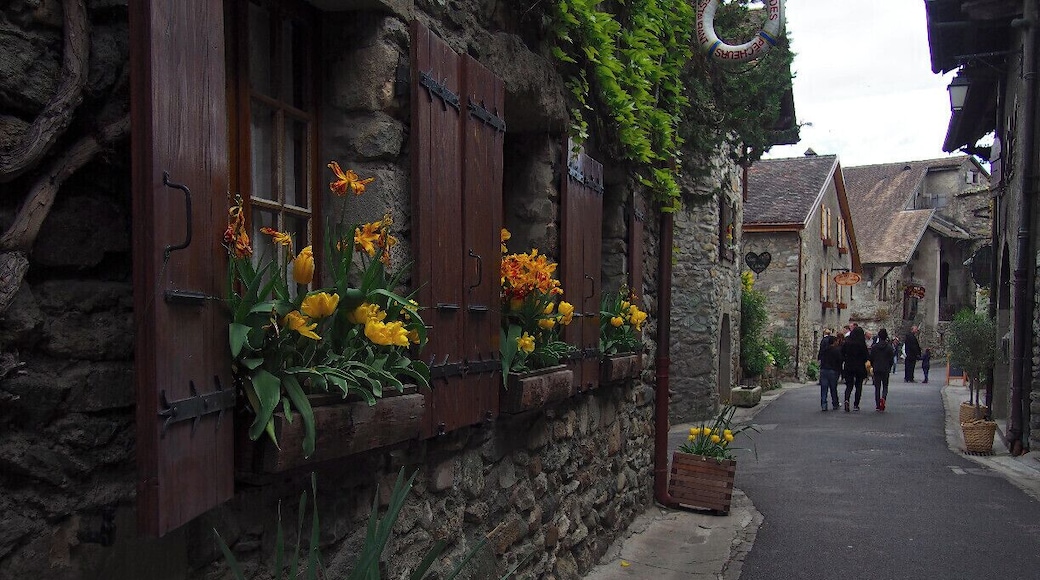 Yvoire is a beautiful medieval village on the French side of Lake Geneva. A mere 20-minute sferry ride from the Swiss town of Nyon, Yvoire is a great day trip to make when visiting Geneva or Lausanne. #TroverDetour