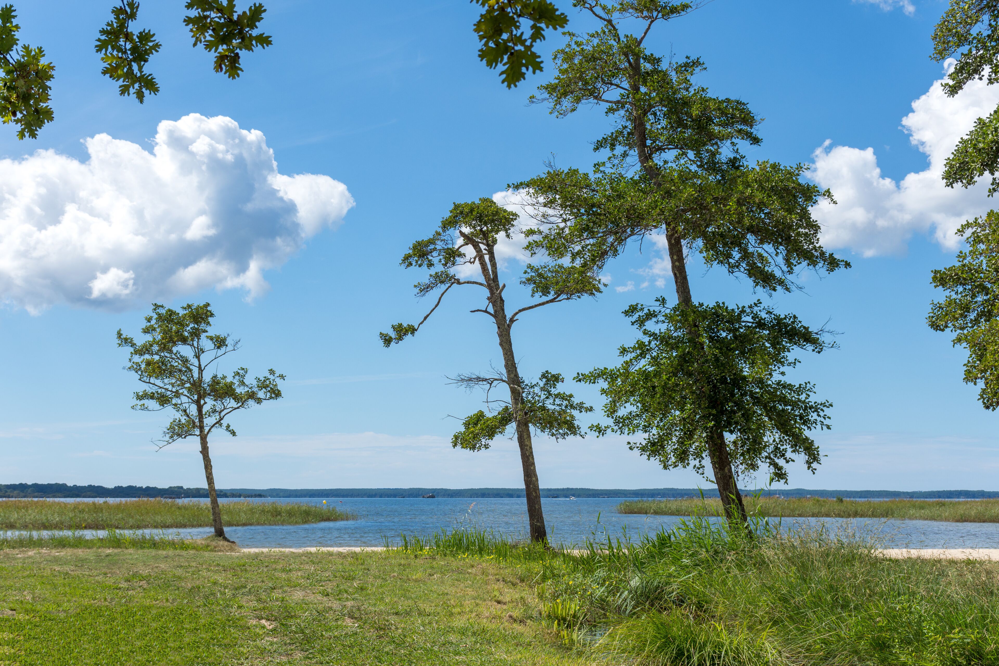 PARENTIS-EN-BORN (Landes, France), sur le lac de Biscarrosse