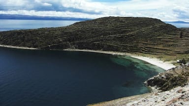 Un paisaje costero con campos en terrazas, una playa y una masa de agua.