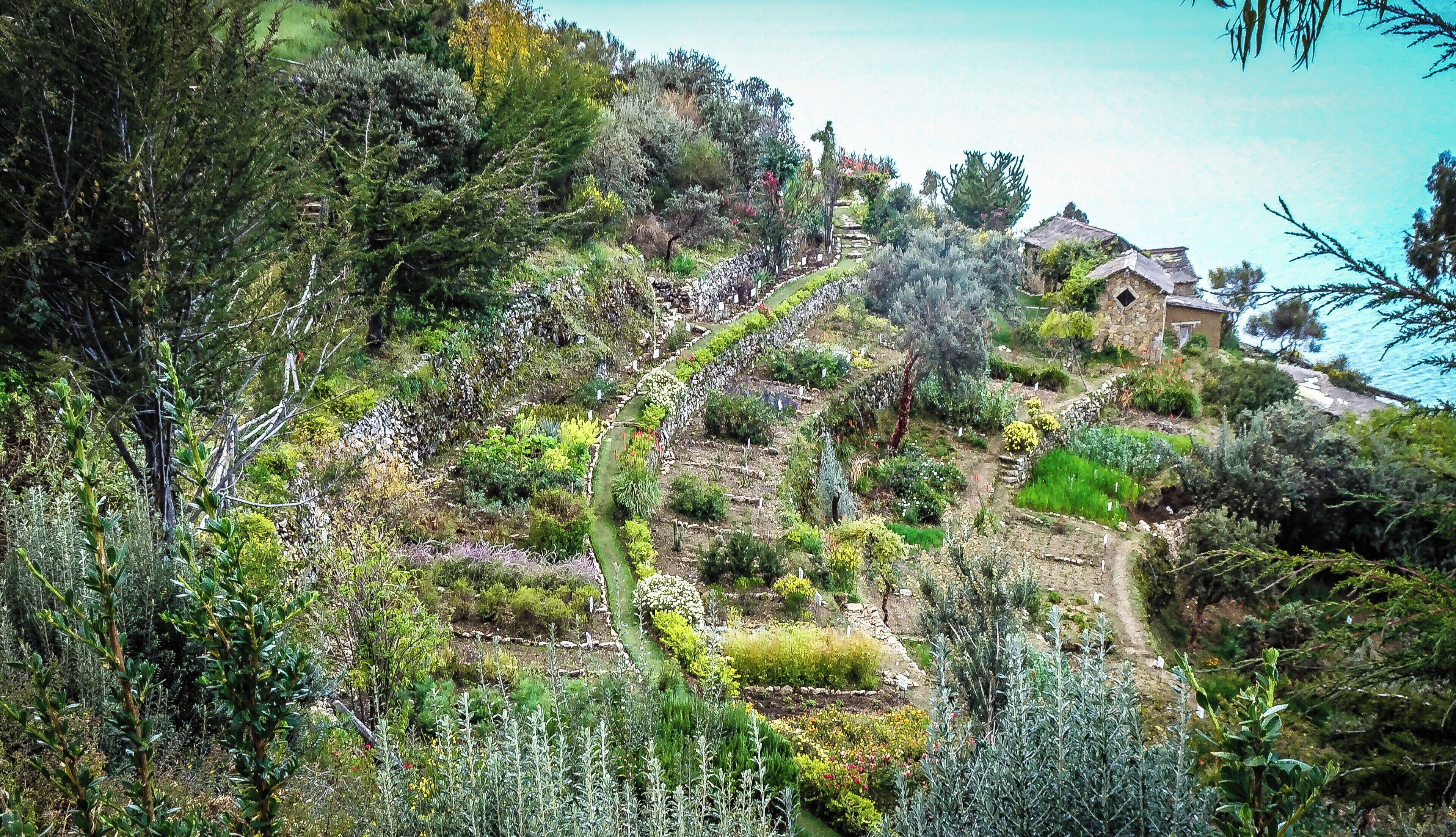 Garden, Isla del Sol