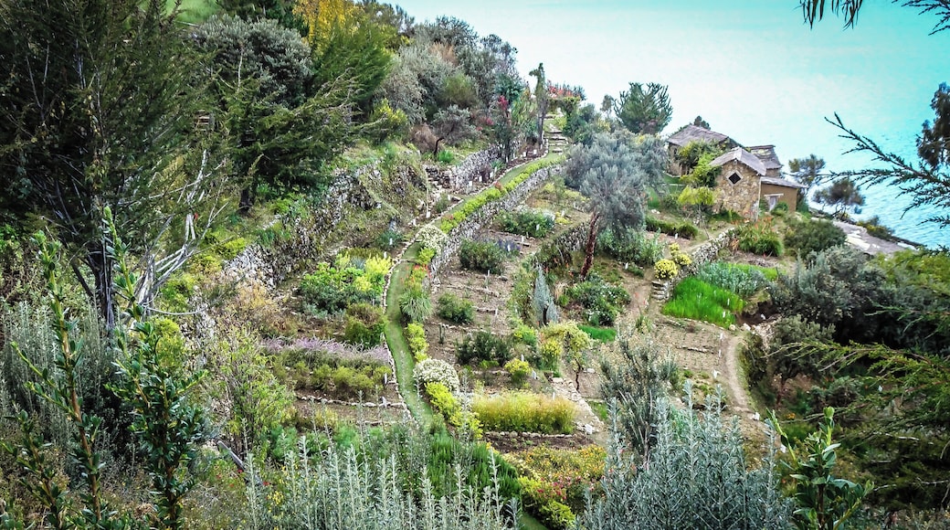 Garden, Isla del Sol