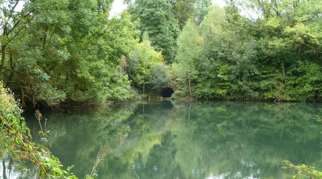 Pagny-sur-Meuse, Etang des Moines (appelé couramment "Etang de l'usine" par les habitants en référence à l'ancienne cimenterie qui se trouve à proximité). On voit au fond l'arrivée du ruisseau des marais par le passage souterrain. Il existait autrefois un moulin à cet endroit, comme en témoigne le nom des parcelles situées à proximité : "Vannier Moulin".
