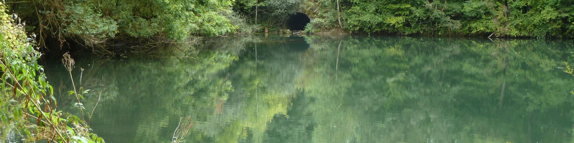 Pagny-sur-Meuse, Etang des Moines (appelé couramment "Etang de l'usine" par les habitants en référence à l'ancienne cimenterie qui se trouve à proximité). On voit au fond l'arrivée du ruisseau des marais par le passage souterrain. Il existait autrefois un moulin à cet endroit, comme en témoigne le nom des parcelles situées à proximité : "Vannier Moulin".