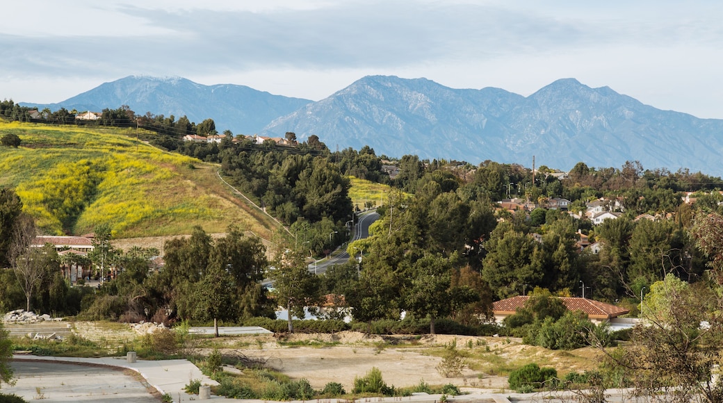 Chino Hills State Park, Los Angeles CA, United States