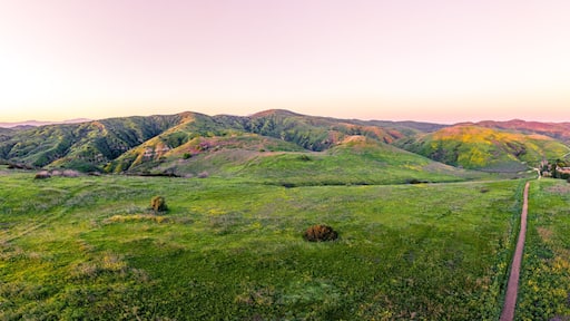 Sunset Hikes and Dirt Trails