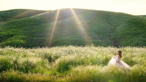 Young girl in wildflowers at Chino Hills State Park in California