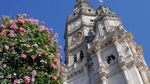 Saint-Amand-les-Eaux