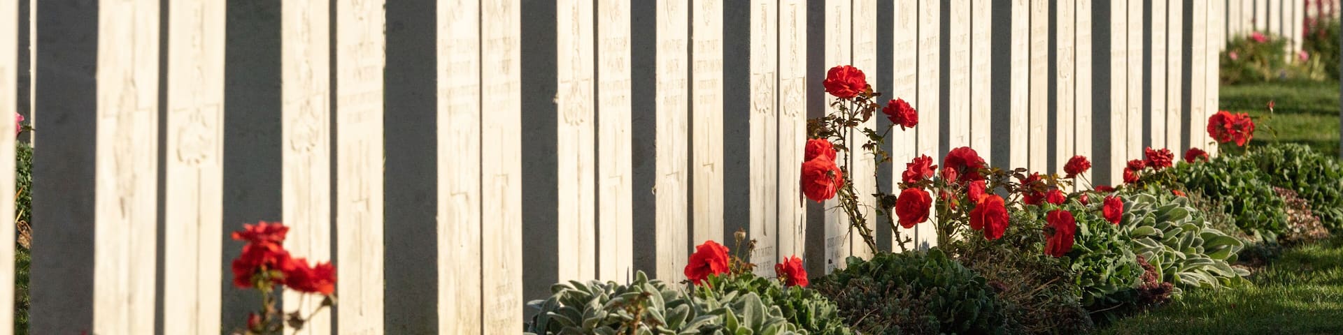 Alignements de stèles - Cimetière britannique d'Etaples-sur-Mer