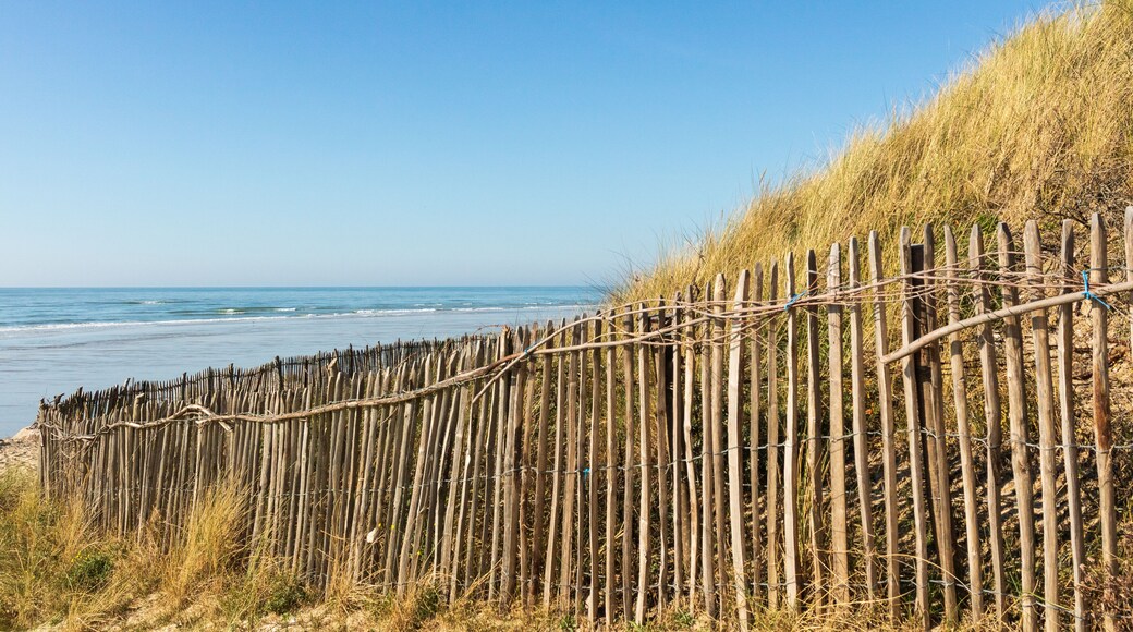 Aménagement des dunes contre l'érosion à Saint-Gabriel (Camiers)