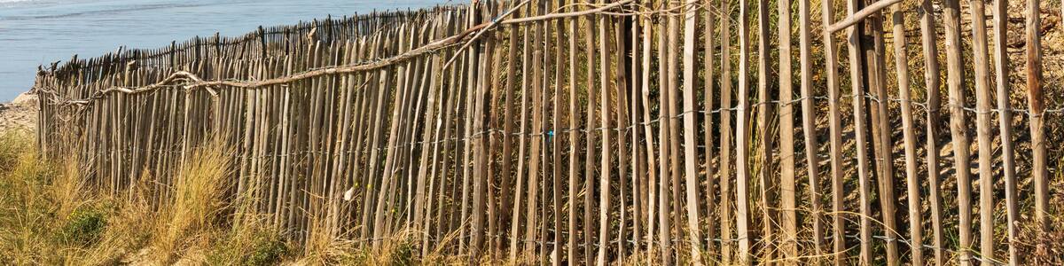 Aménagement des dunes contre l'érosion à Saint-Gabriel (Camiers)