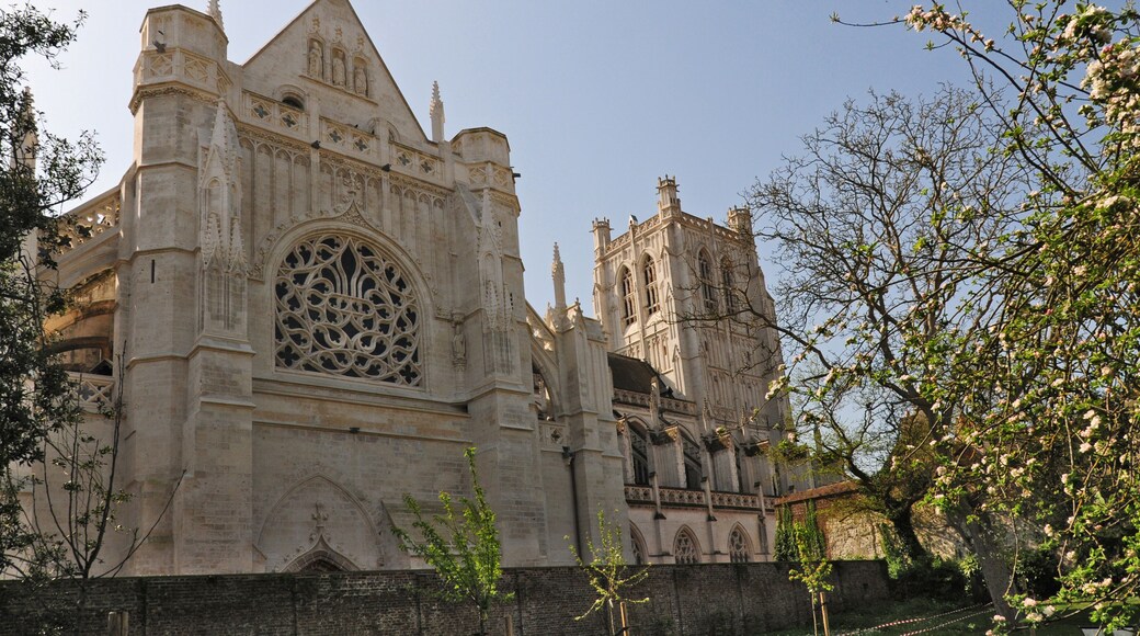 La cattedrale di Saint Omer, Pas-de-Calais, Hauts-de-France