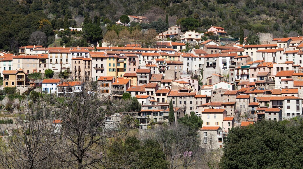 Panorama of Amelie-les-Bains-Palalda in Pyrenees-Orientales, Languedoc-Roussillon, France.