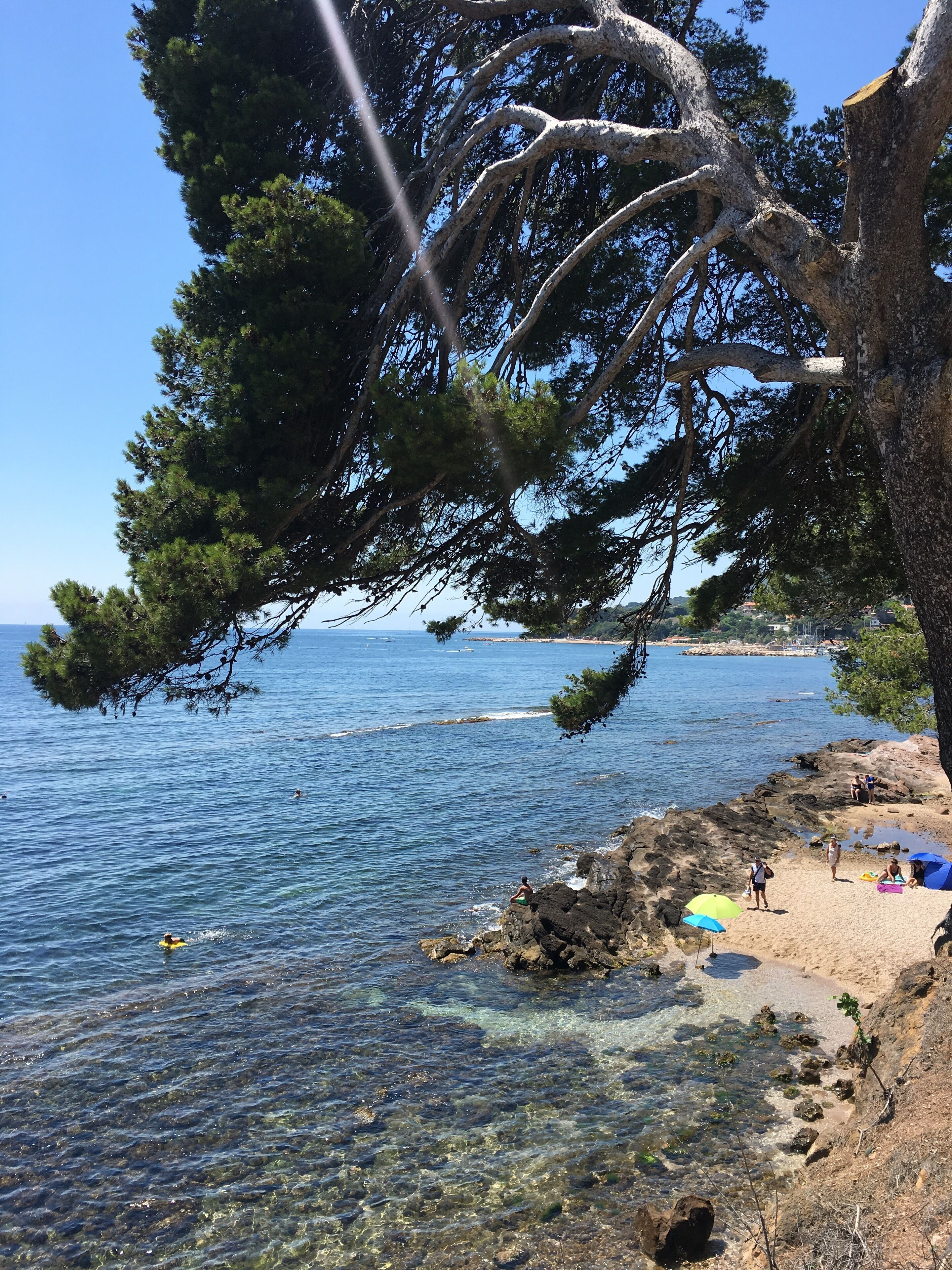 Wonderful hidden spot for picpics in the shade of magnificient Mediterranean pine trees overlooking the cutest beach. 