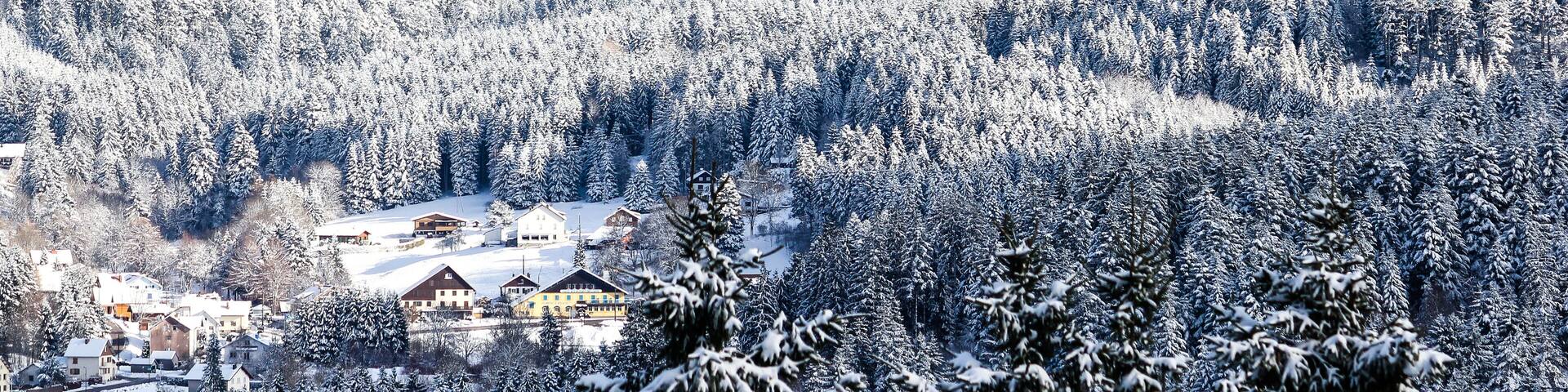 Panoramic winter landscape with snow covered forest and village houses. Vosges, France.