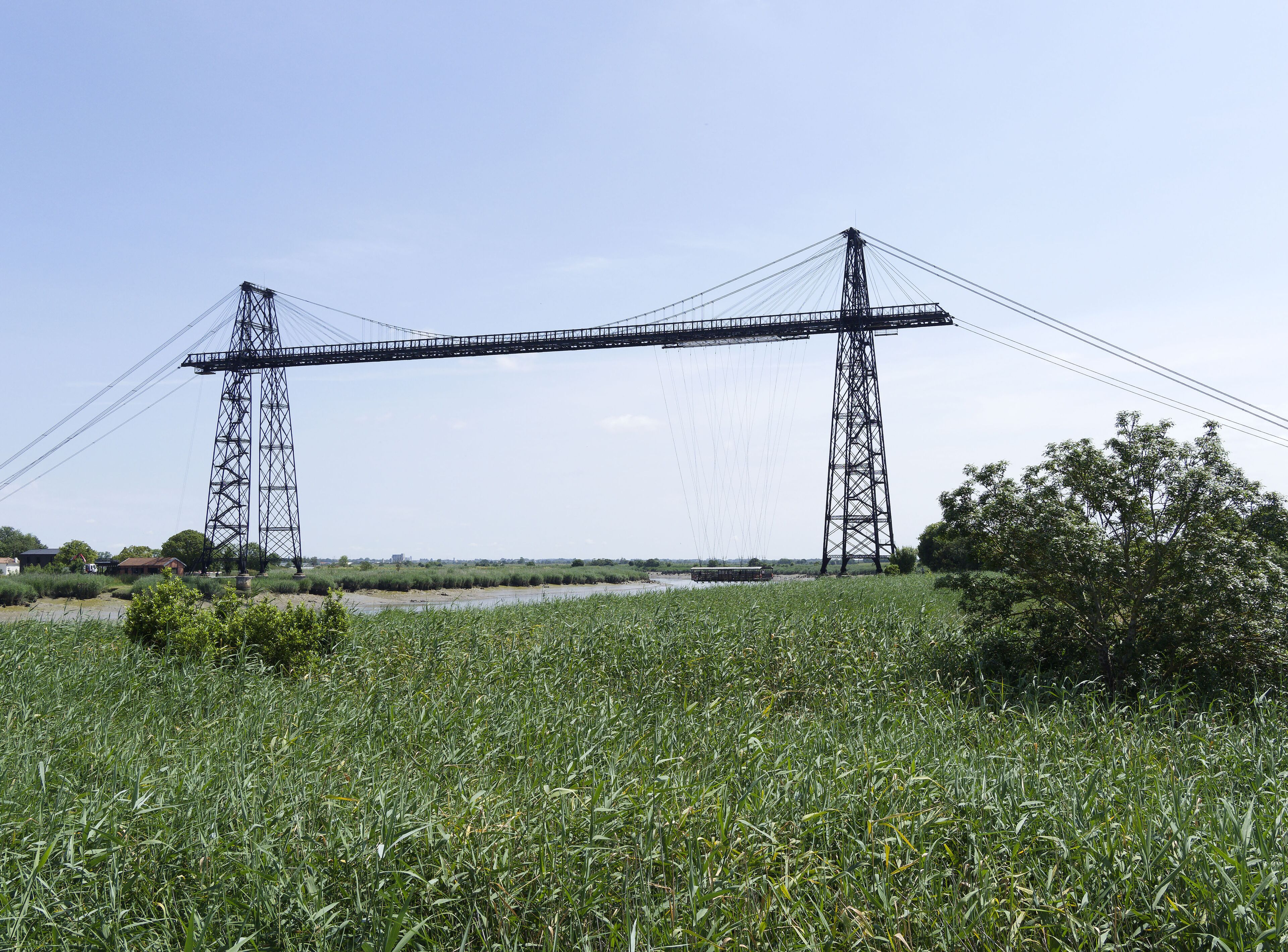 توني تشارينت