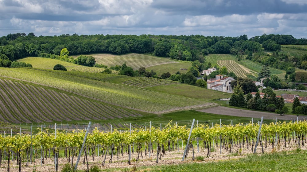 Un vignoble avec des rangées de vignes, des collines ondoyantes et un petit village dont les bâtiments se dessinent à l’arrière-plan.