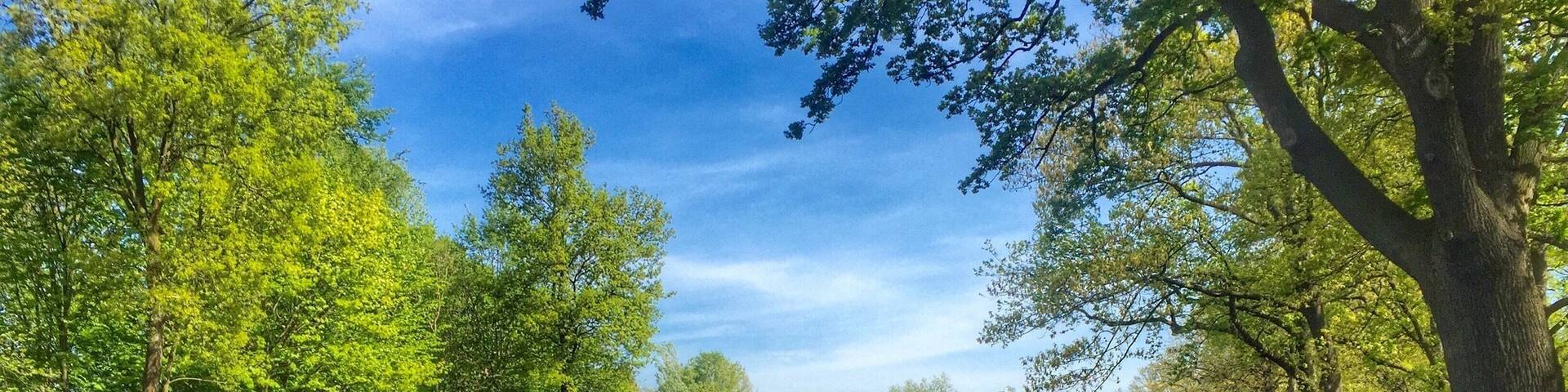 Cycling along the canal Zuid-Willemsvaart near Maaseik,Belgium