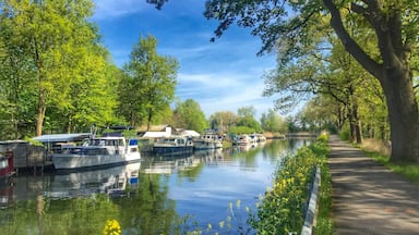 A canal lined with boats and trees.