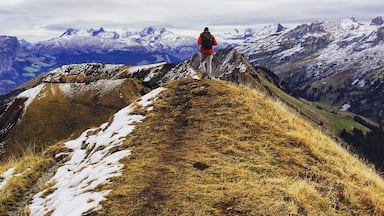 #wander #travel #topofthemountain #mountains #switzerland #schwyz #love #beautyoflife #happiness #hiking #explore @novakmatthew