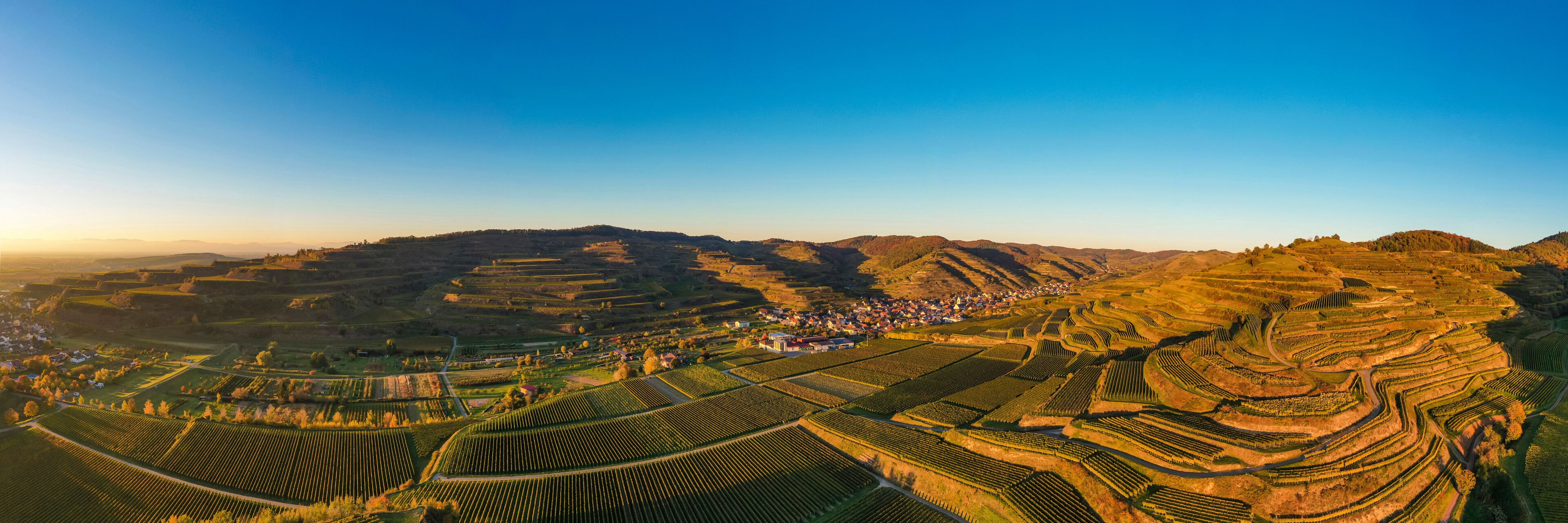 Terraced vineyards, rolling hills, and a small village.