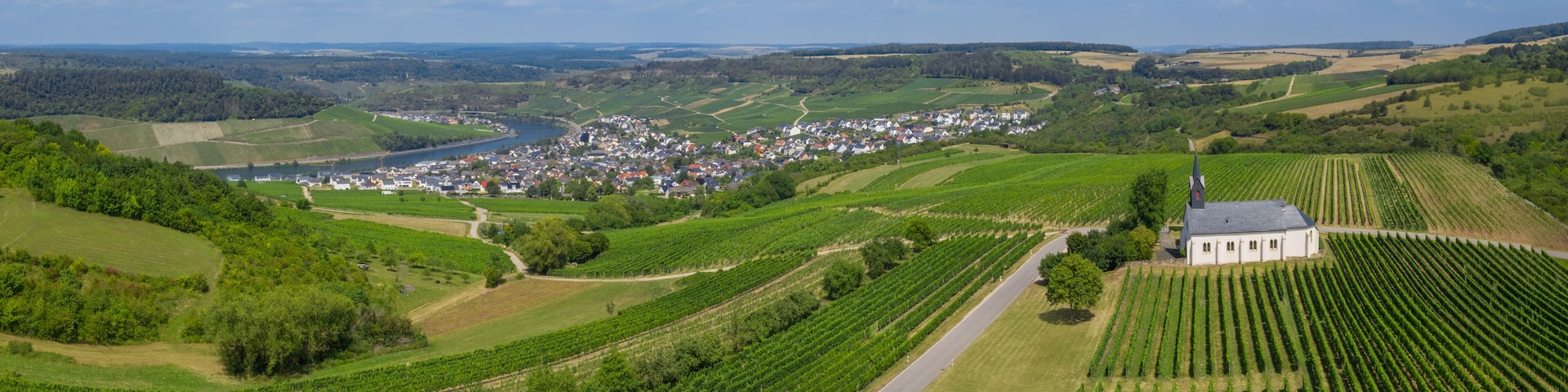A rural landscape with vineyards, a church, and a small town by a river.