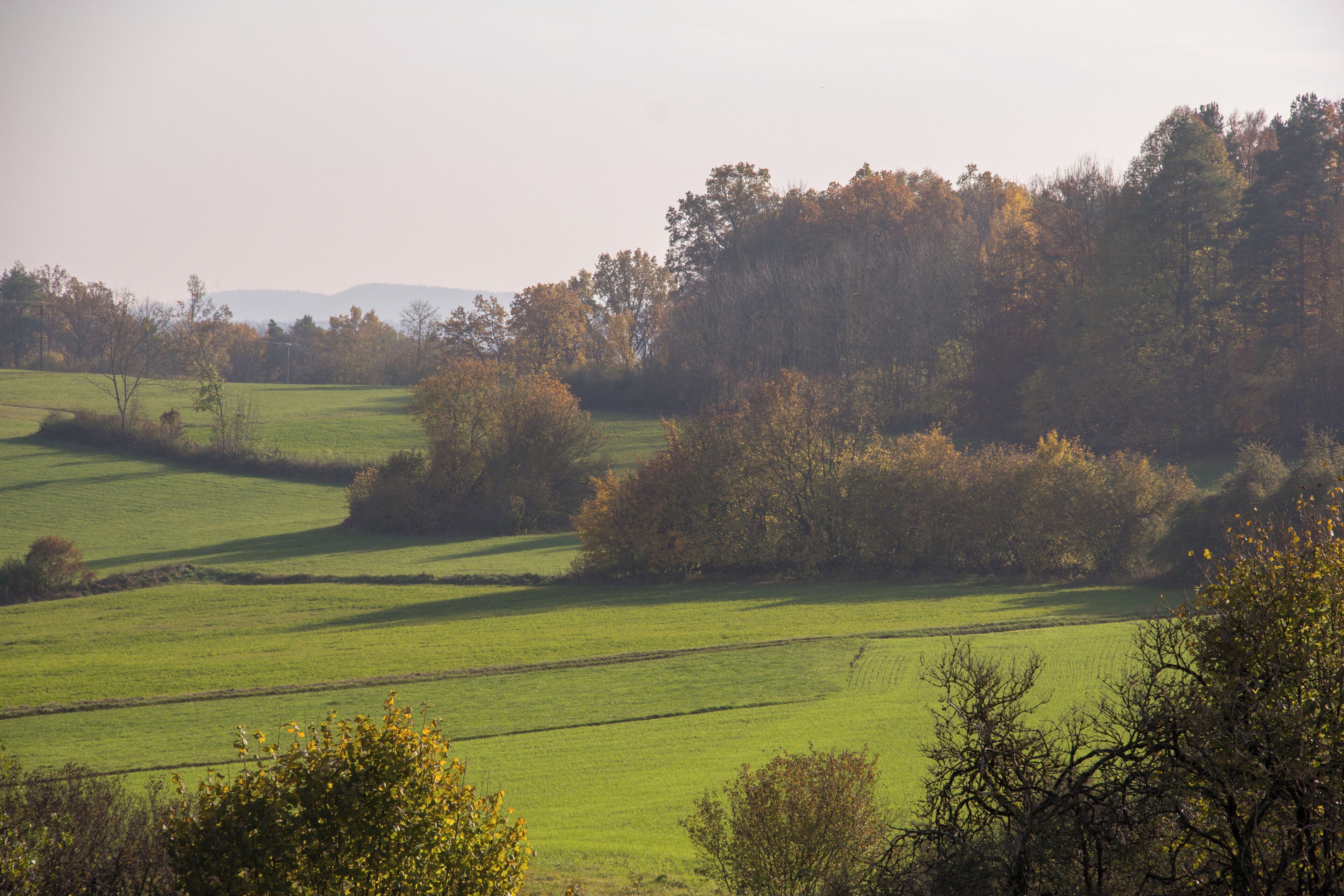 Hohenstein, LSG Ausweisung des LSG Nördlicher Jura