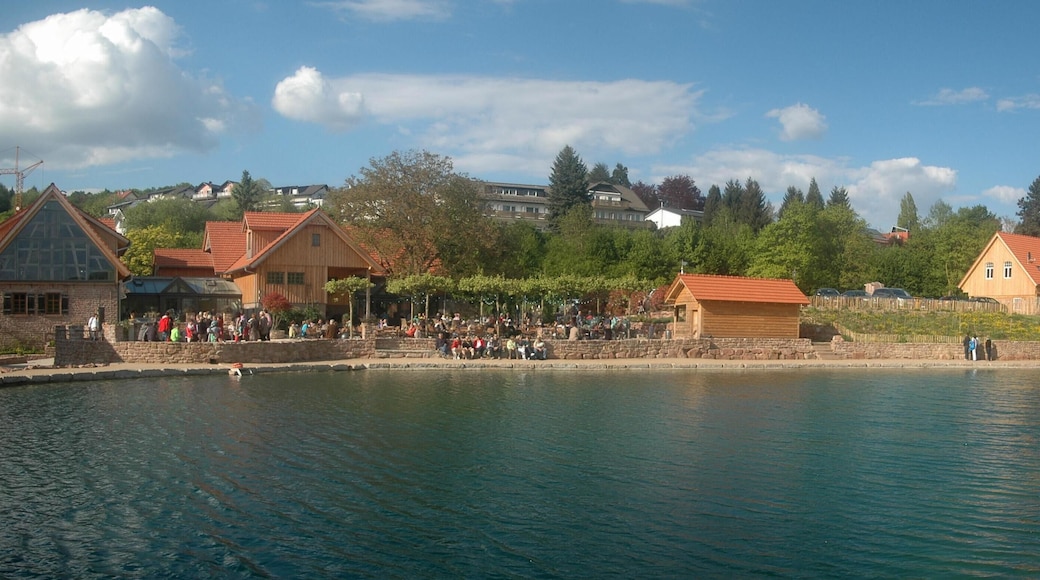 Landgut in Lingental