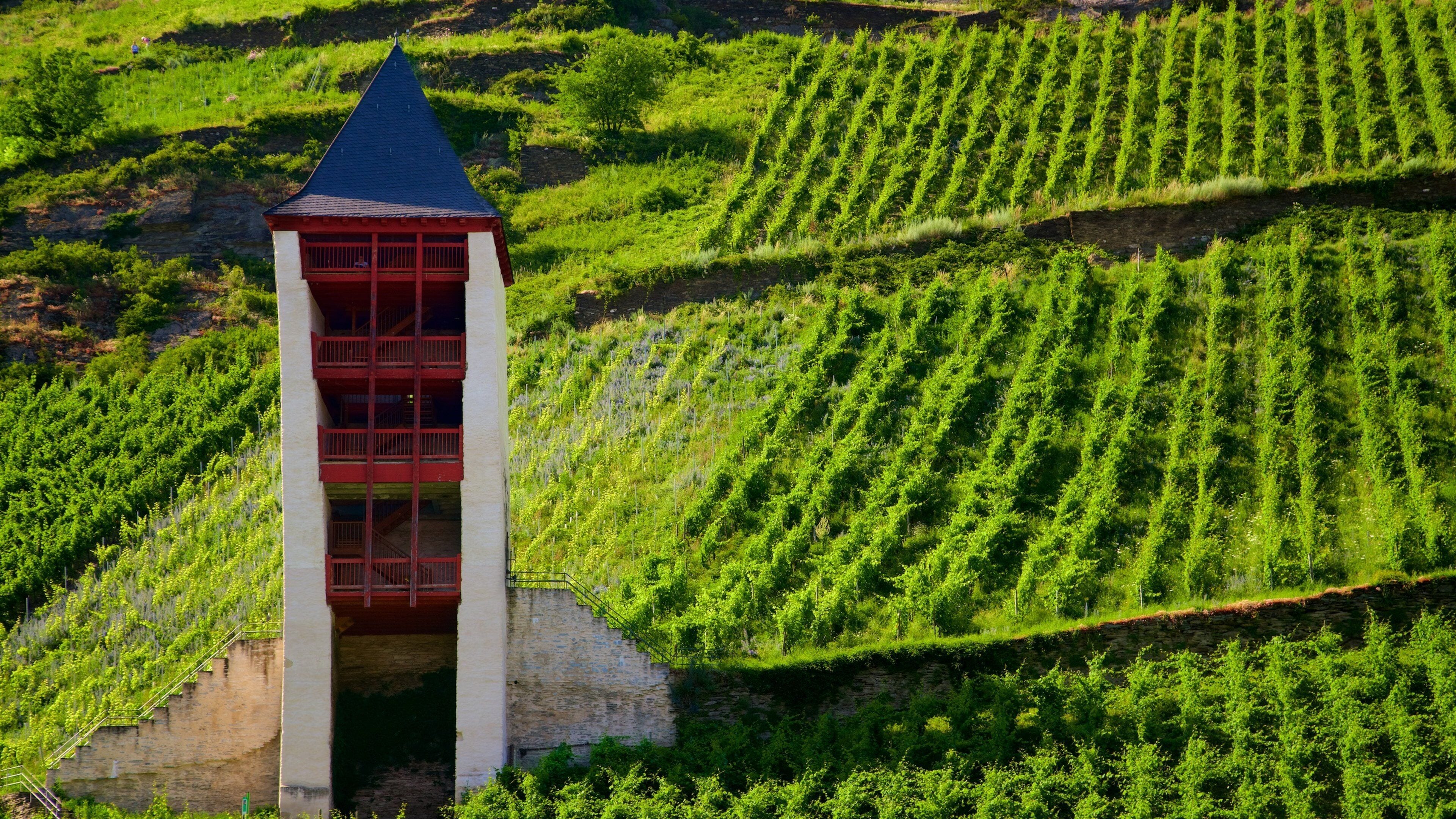 A tower with red railings in a vineyard.