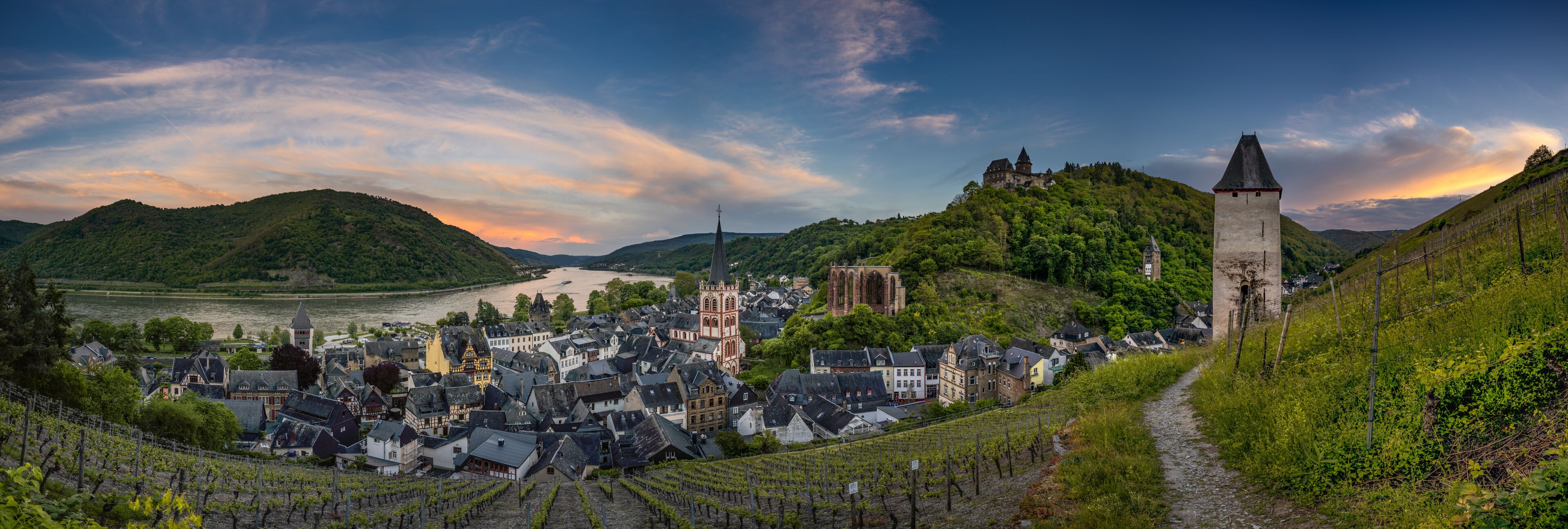 A town with vineyards, a river, and a castle on a hill.