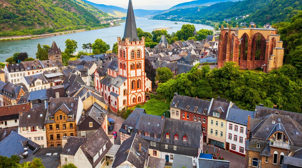 Mainz-Bingen