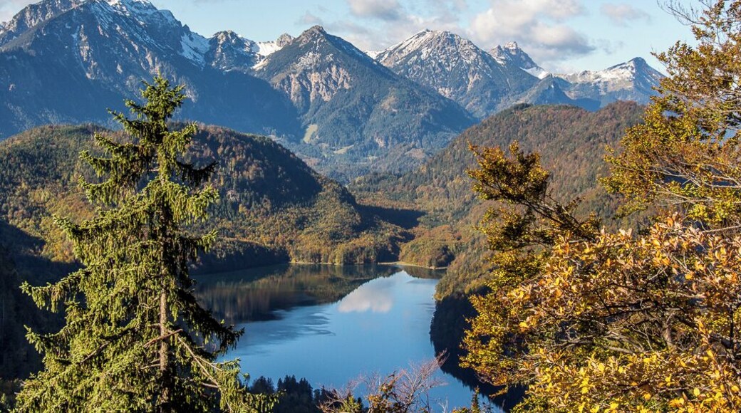 Alpsee Lake from Mount Tegelberg -Taken from about the half way point on the hike up Mount Tegelberg in southern Germany. While you can get to the top of Tegelberg via cable car, the views on the hike are worth the effort.