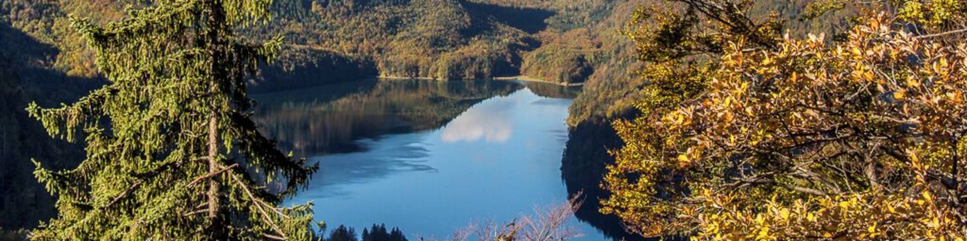 Alpsee Lake from Mount Tegelberg -Taken from about the half way point on the hike up Mount Tegelberg in southern Germany. While you can get to the top of Tegelberg via cable car, the views on the hike are worth the effort.