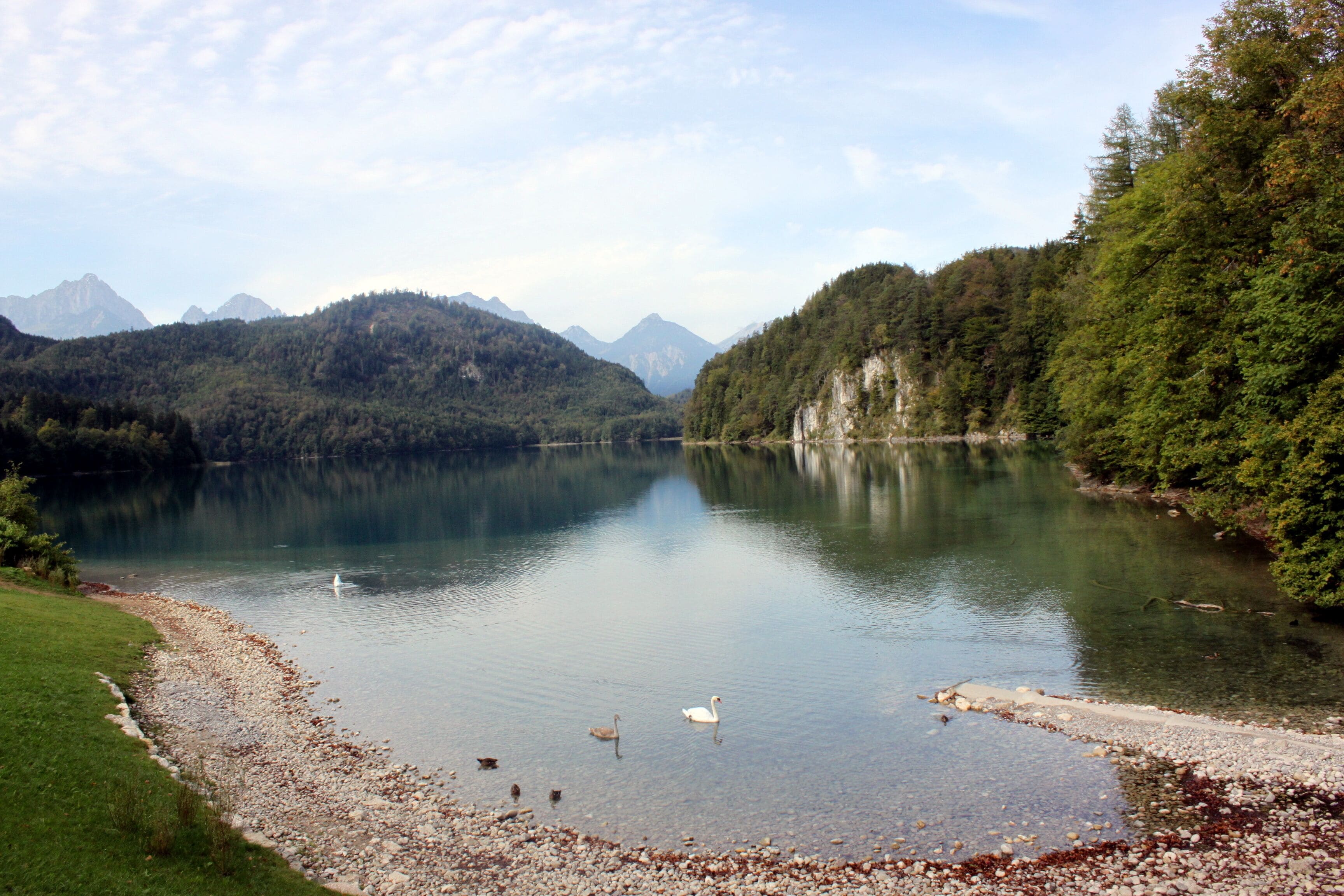 Alpsee