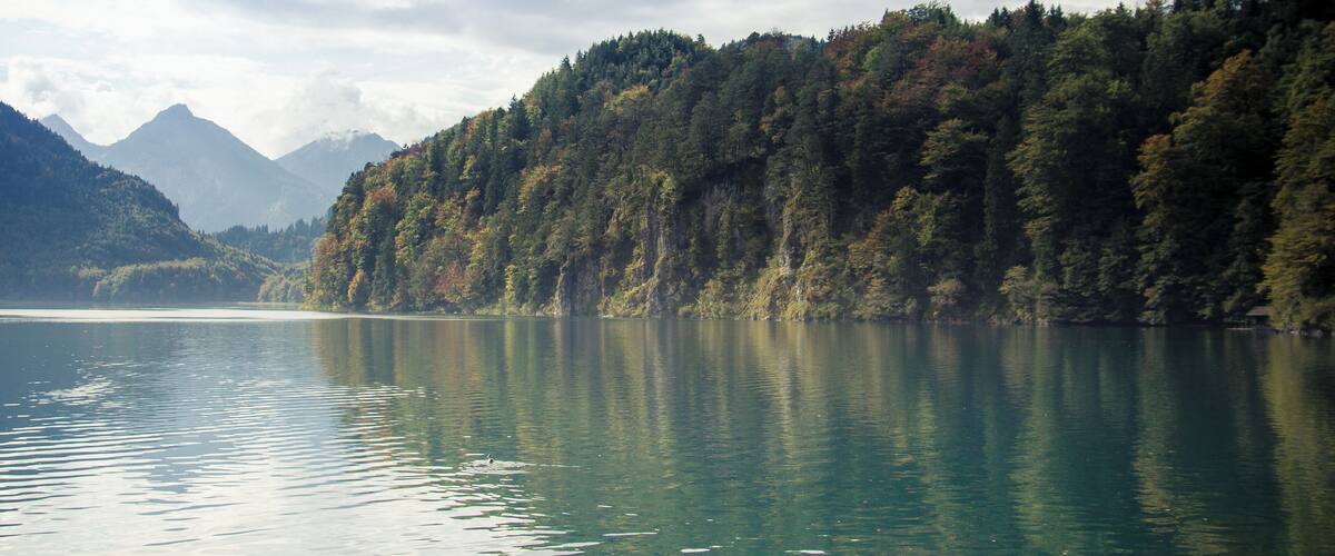 A calm lake surrounded by dense forest and mountains.