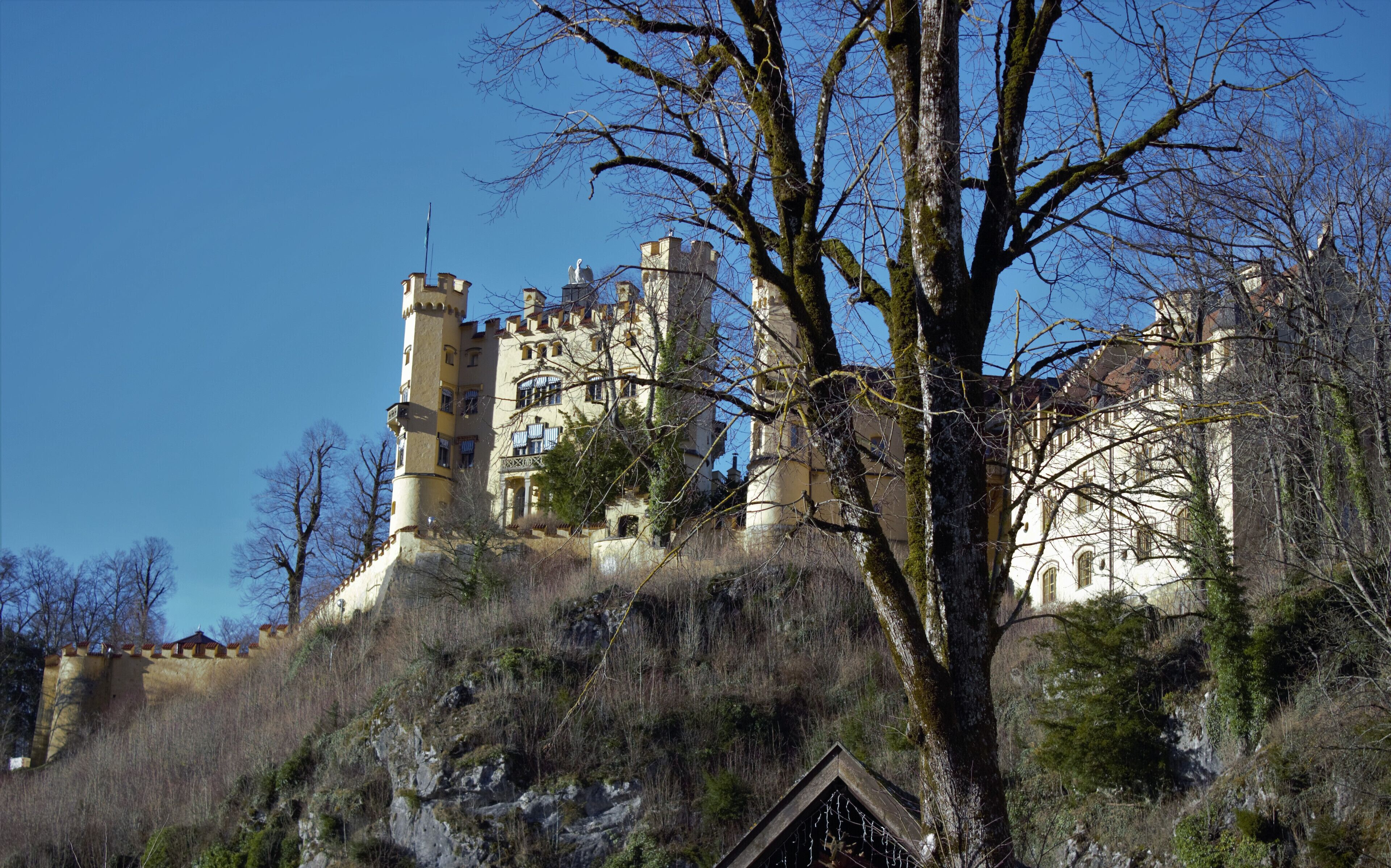 Hohenschwangau Castle from the horse carriage stop.