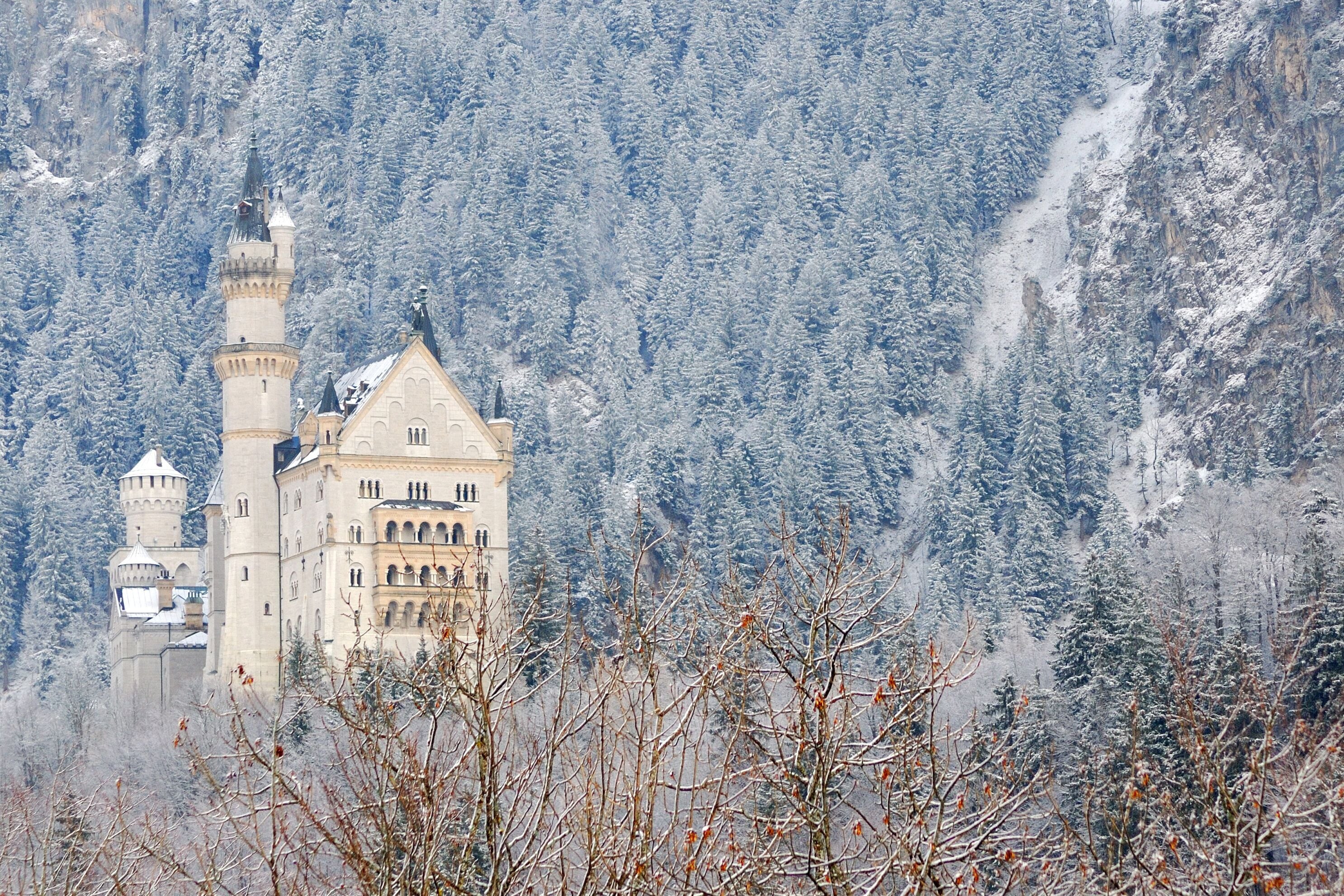 Schwangau