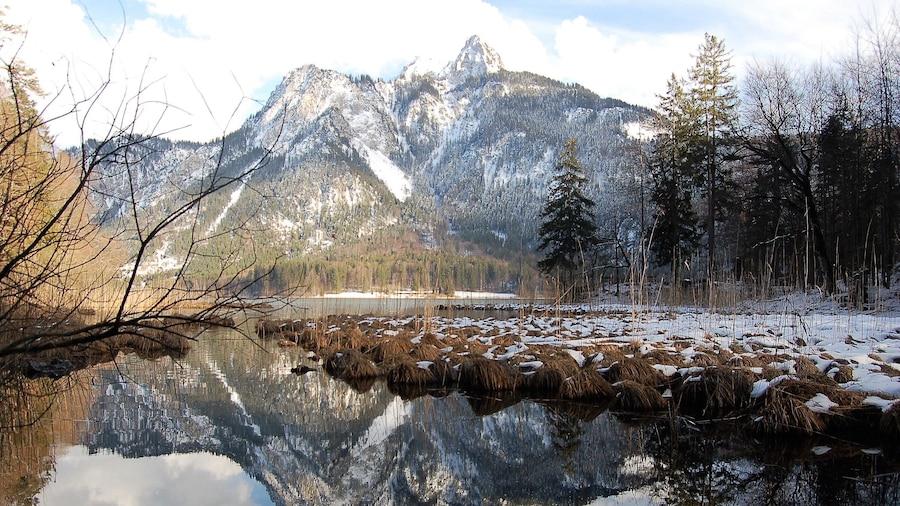 It's a shame that so many people on bus tours miss this attraction that is virtually right next to Neuschwanstein castle. It's adjacent to Hohenshwangau