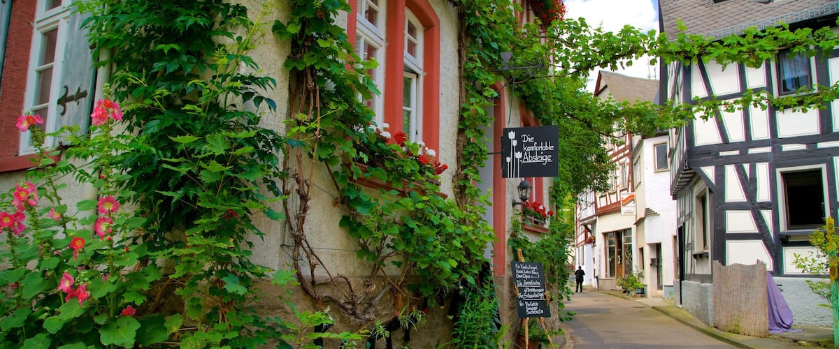 A narrow street with buildings covered in green vines and flowers.