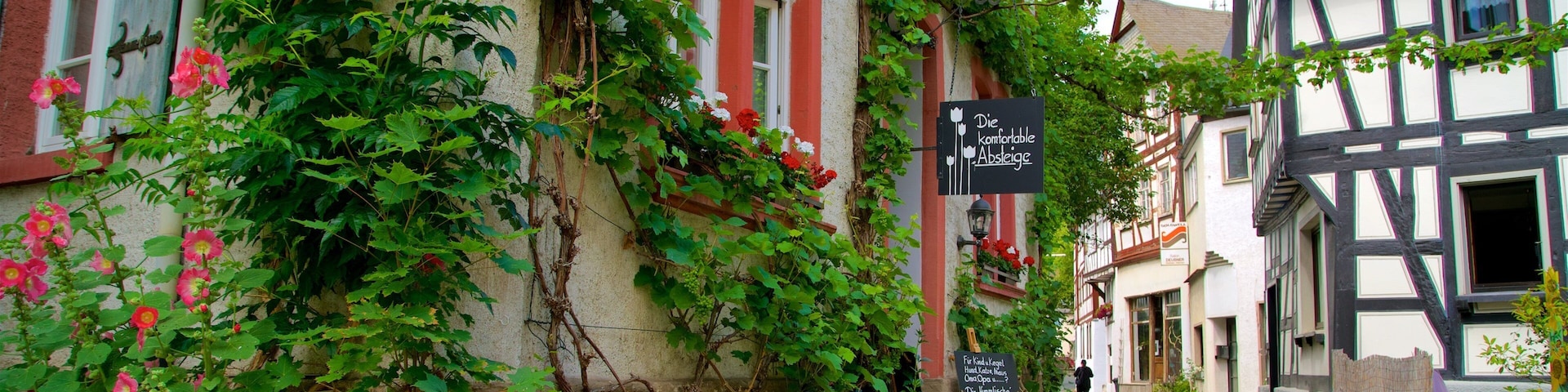 A narrow street with buildings covered in green vines and flowers.