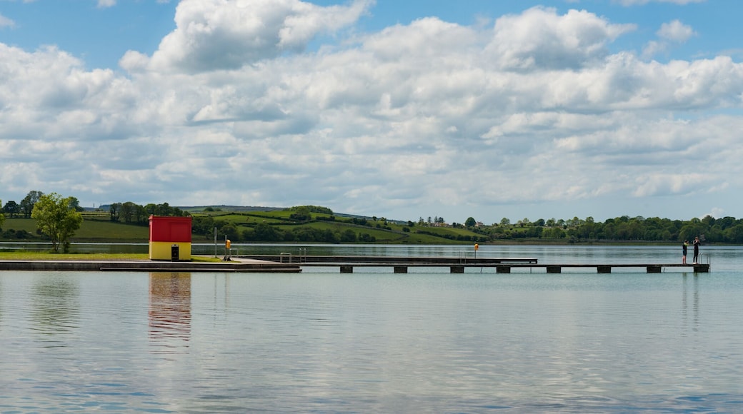 Loughrea