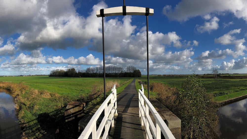 Panoramic from a bridge over a canal in a nature reserve
