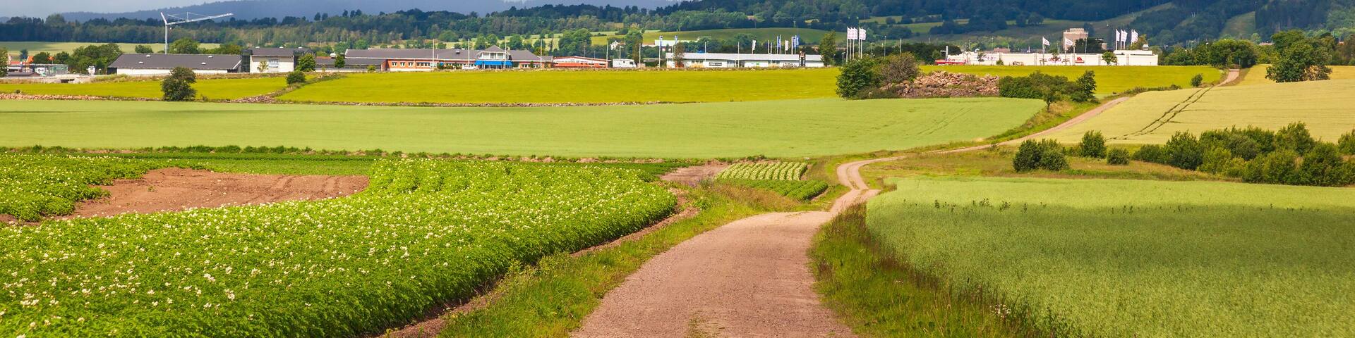 Gravel road towards Falkoping a Swedish town in the countryside