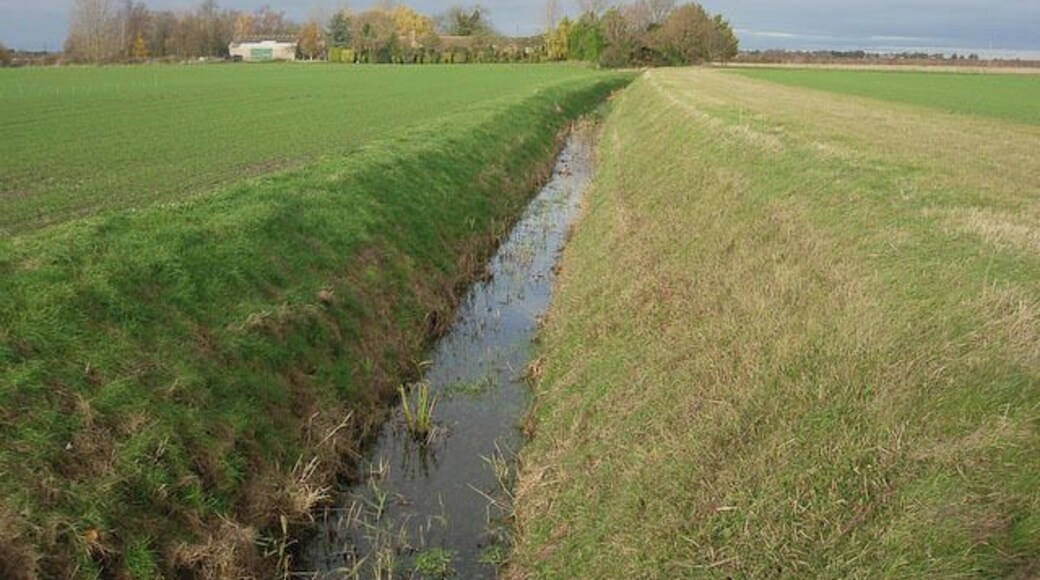 Little Wilbraham River Looking towards Hawk Mill Farm. the river has been straightened and has had vegetation removed - it is basically a drainage ditch.