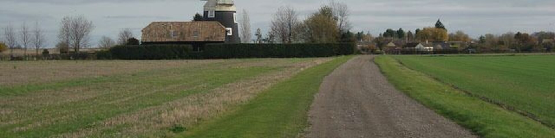 A rural road leading to a farm with a silo and a building.