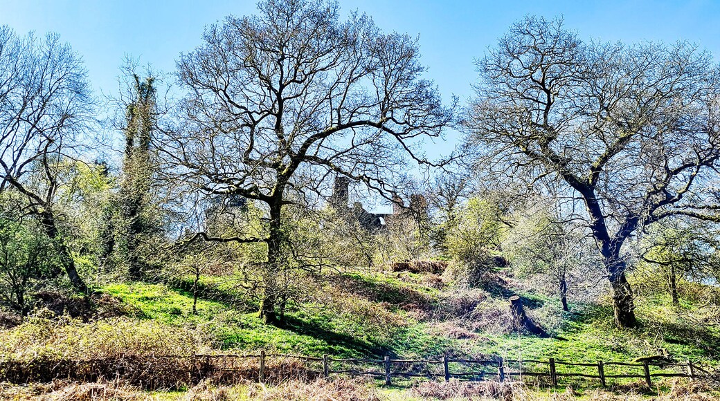 Ruined Dinefwr (Dynevor) Castle overlooking the River Tywi - Llandeilo, Carmarthenshire, Wales, United Kingdom
