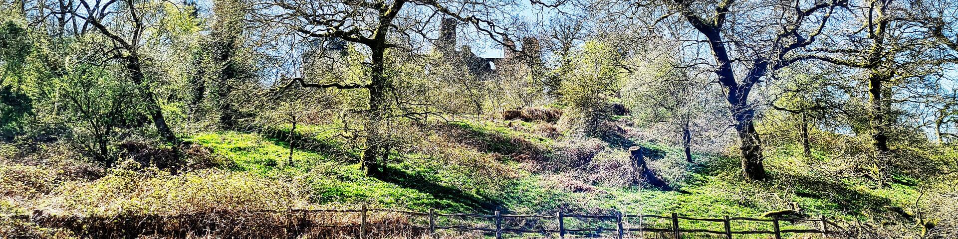 Ruined Dinefwr (Dynevor) Castle overlooking the River Tywi - Llandeilo, Carmarthenshire, Wales, United Kingdom
