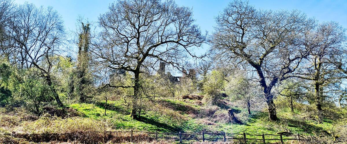 A hilly landscape with scattered trees and a wooden fence.