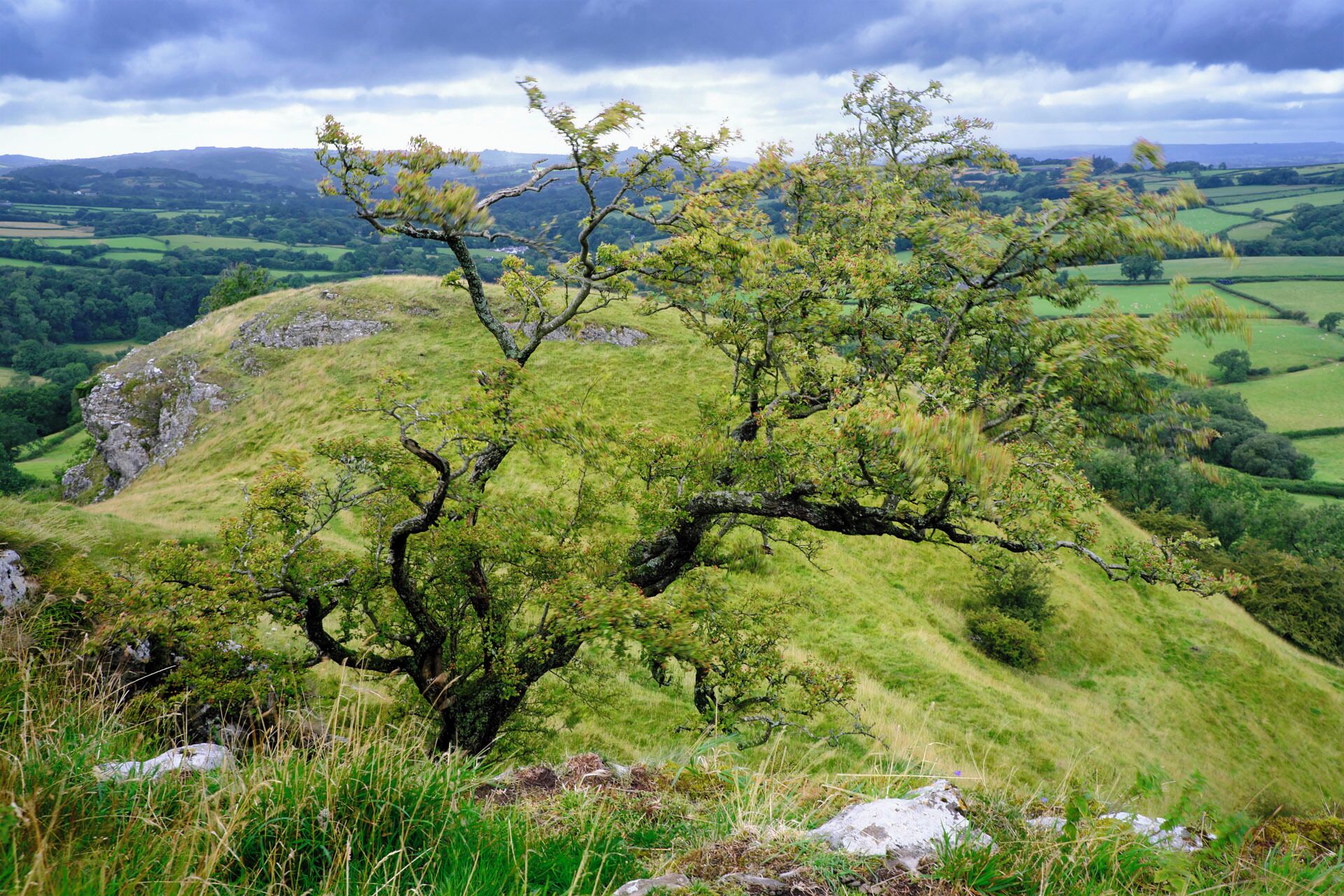 View from Carreg Cannon Castle, as you walk around it, close to the cavbe out side the castle