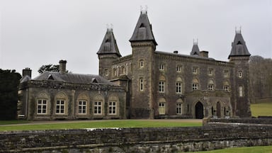 #lksawaydays 4b/2020 Continuing to step back in time we travelled the short 5km journey to our 2nd castle as part of our Welsh castle double header at Dinefwr. Dinefwr Castle can be found within the 800 acre National Trust site of Dinefwr Park. Again a relatively small car park for an attraction of this size which includes the castle, Newton House, Deer Park and many wildlife walks including a Boardwalk as well as some of the oldest Oak trees in the UK. The inclusive price of £9.50 per adult was duly paid and we initially made a beeline for the ruins of Dinefwr Castle. The castle is believed to have been constructed under the instructions of Rhodri the Great and then rebuilt in the late 1100's by Rhys ap Gruffydd (Lord Rhys who built Carreg Cennen Castle) The castle has walkways which give superb views of Deer Park to the north and Towy Valley (and River Towy) to the west and south. After visiting the historic Welsh ruins we walked along a number of the trails before ending up at Newton House for a well earned coffee! #lksawaydays gives Dinefwr Castle and park a 👍